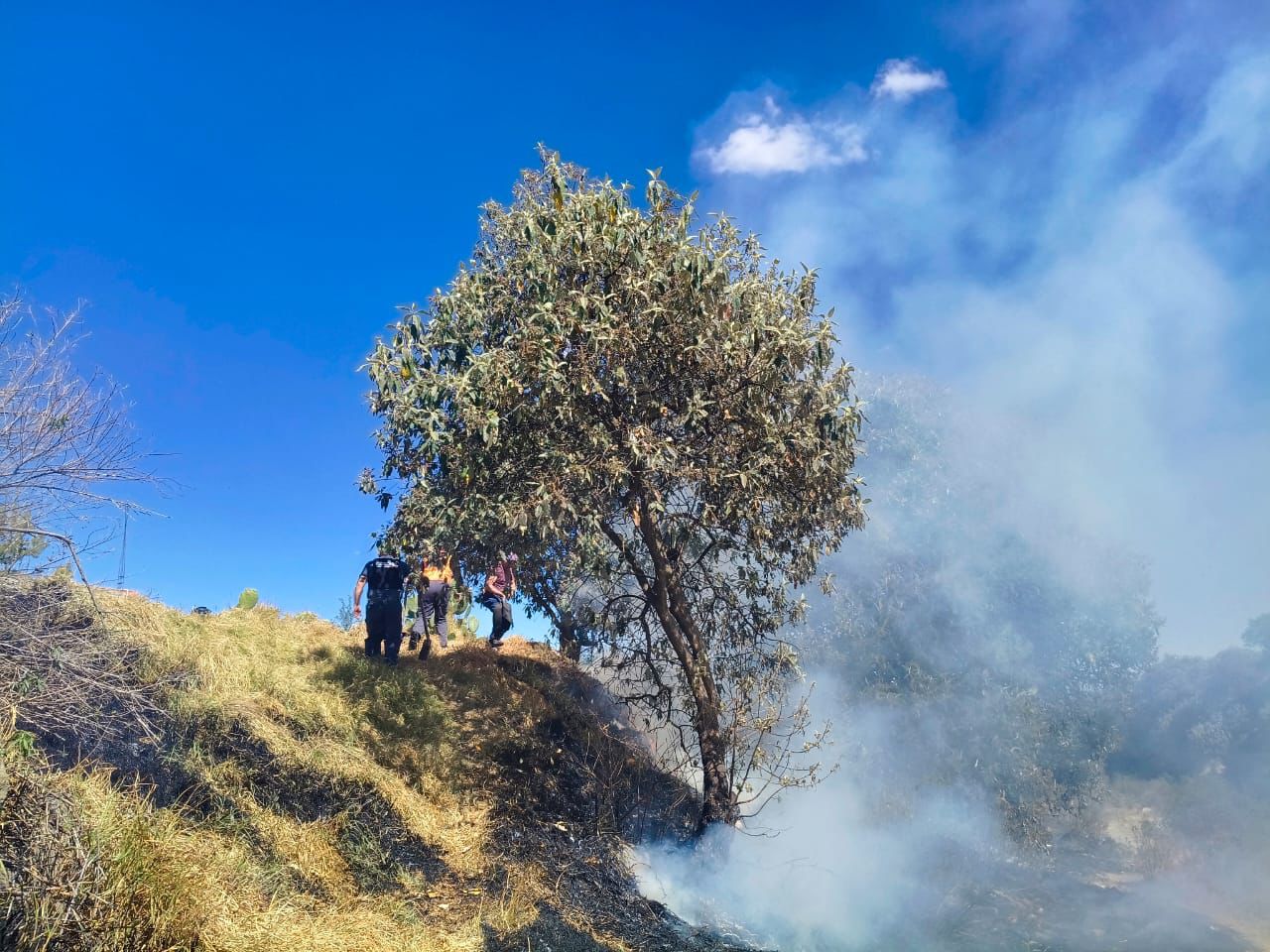 Elementos de Protección Civil de Huamantla controlan incendio de pastizales en el Pueblo de Jesús y exhortan a evitar quemas